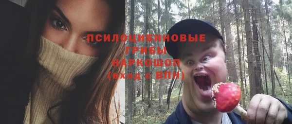 mix Алексин