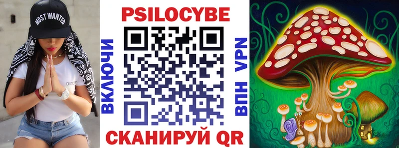 Галлюциногенные грибы мухоморы mega ТОР маркетплейс какой сайт Кашин